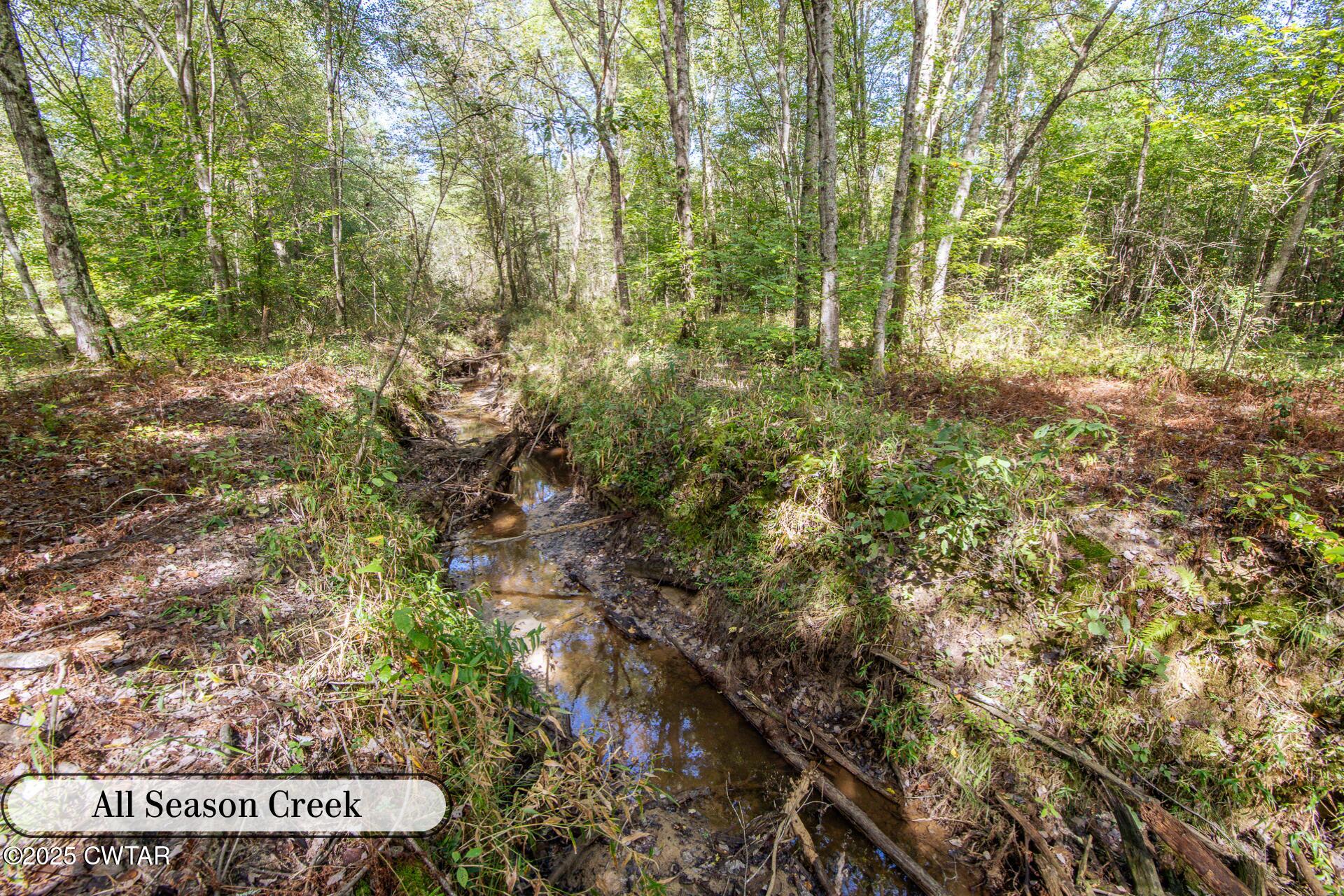 424 Firetower Road Camden, TN 38320 - Photo 16 of 74 Food Plot #1-5