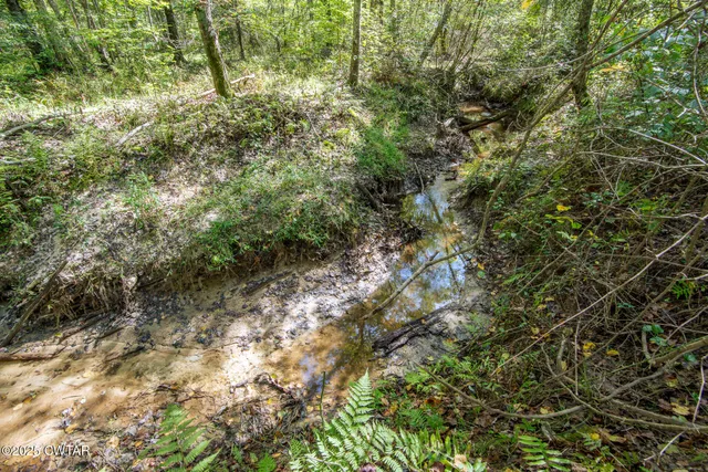 $649,900 | 424 Firetower Road, Camden, TN 38320