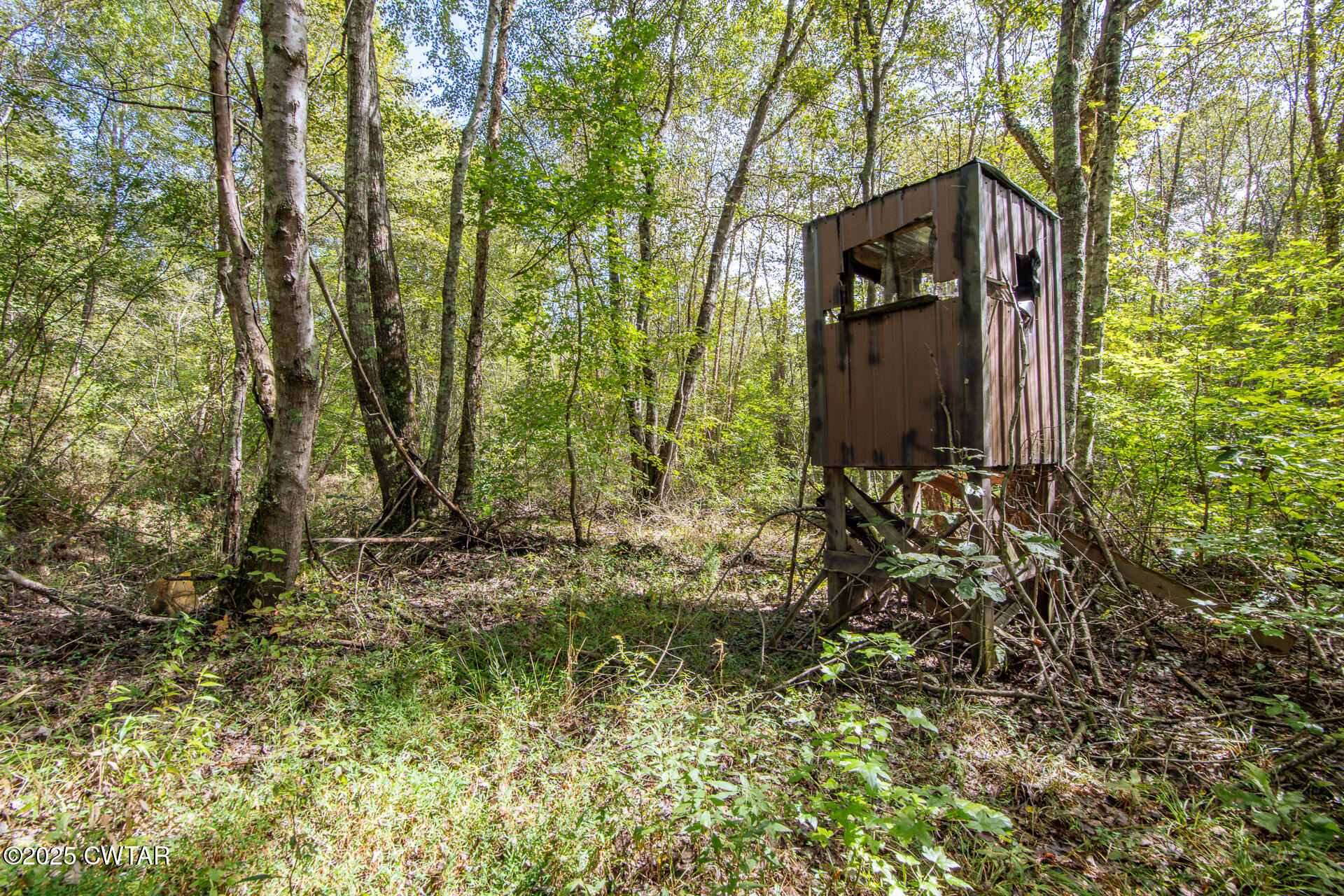 424 Firetower Road Camden, TN 38320 - Photo 20 of 74 424 Firetower Rd Camden TN-74
