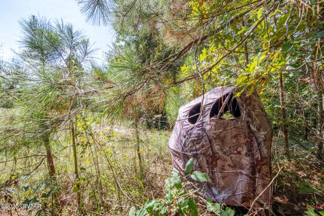 $649,900 | 424 Firetower Road, Camden, TN 38320