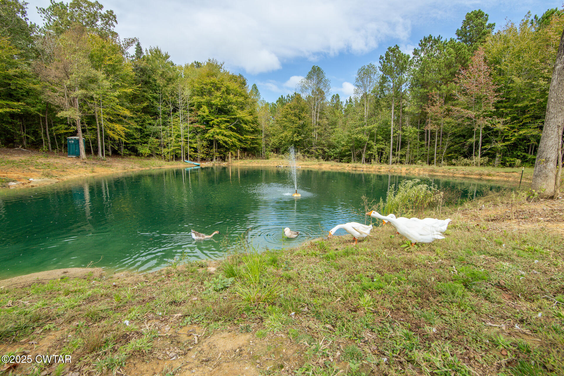 424 Firetower Road Camden, TN 38320 - Photo 5 of 74 424 Firetower Rd Camden TN-62