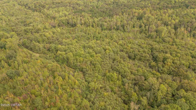 $649,900 | 424 Firetower Road, Camden, TN 38320