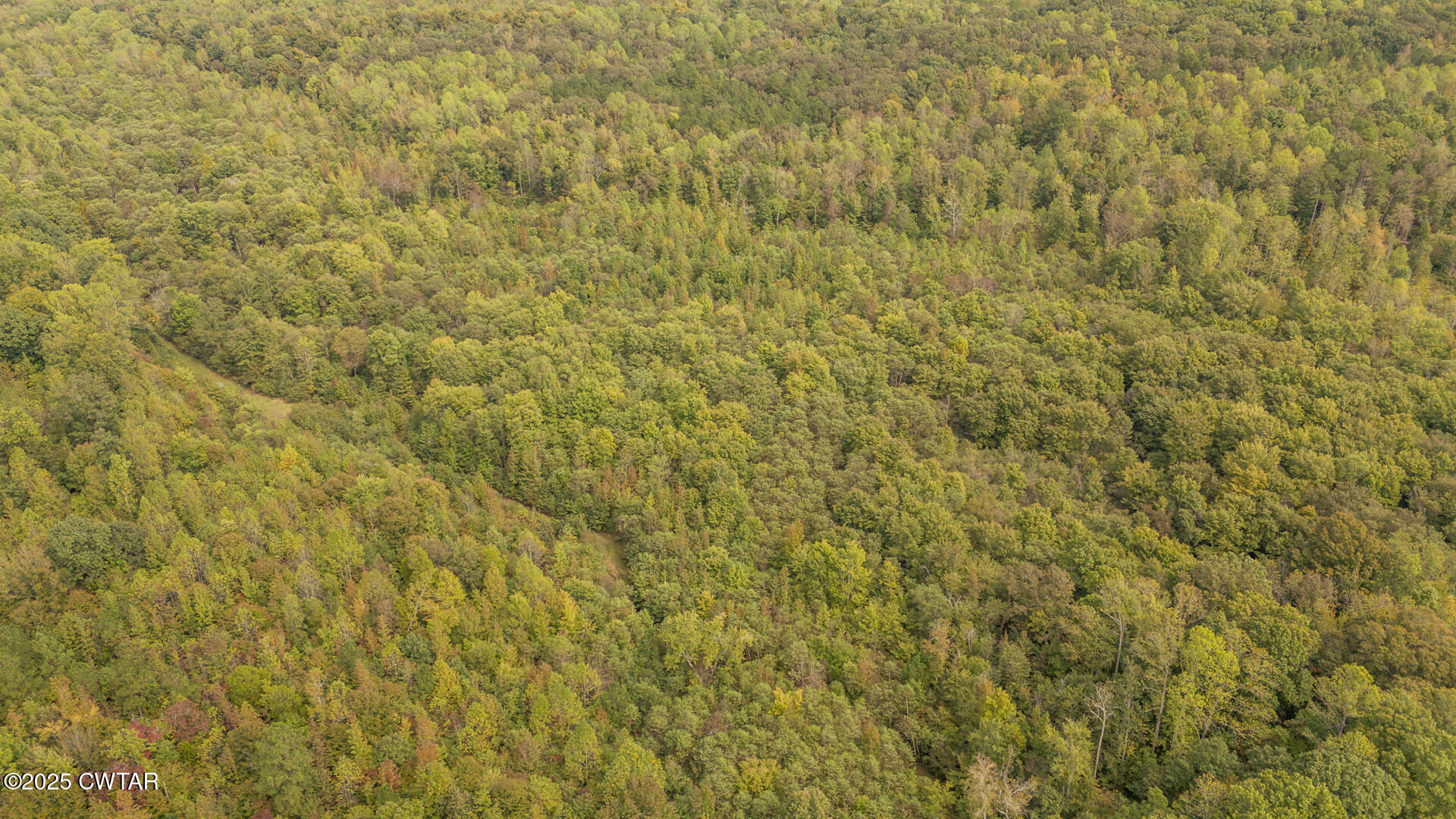 424 Firetower Road Camden, TN 38320 - Photo 69 of 74 424 Firetower Rd Camden TN-111