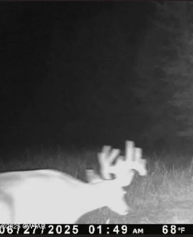 $649,900 | 424 Firetower Road, Camden, TN 38320