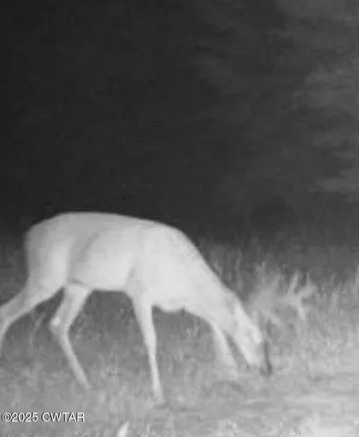 $649,900 | 424 Firetower Road, Camden, TN 38320