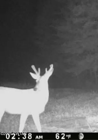 $649,900 | 424 Firetower Road, Camden, TN 38320