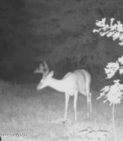 $649,900 | 424 Firetower Road, Camden, TN 38320