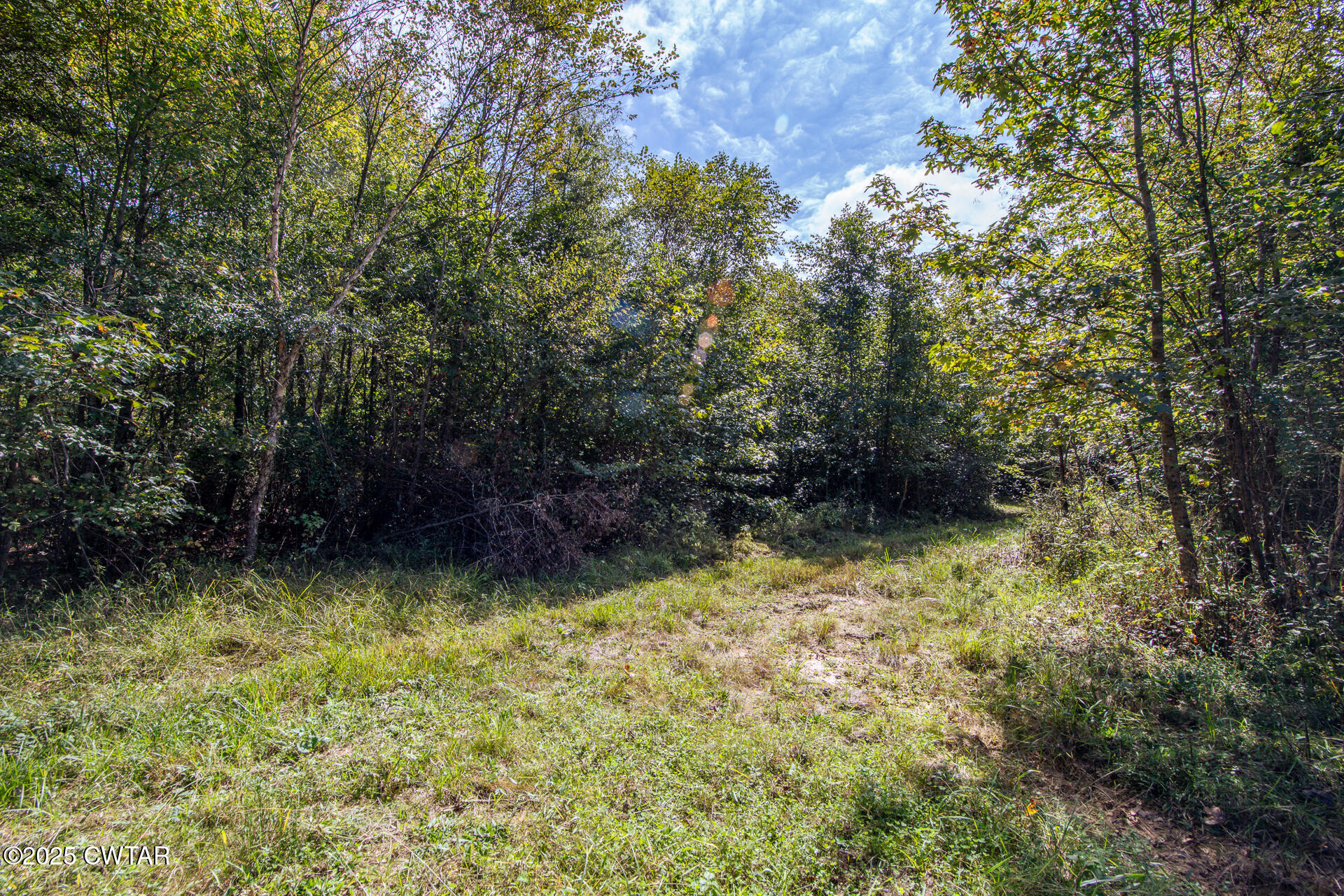 424 Firetower Road Camden, TN 38320 - Photo 9 of 74 424 Firetower Rd Camden TN-77