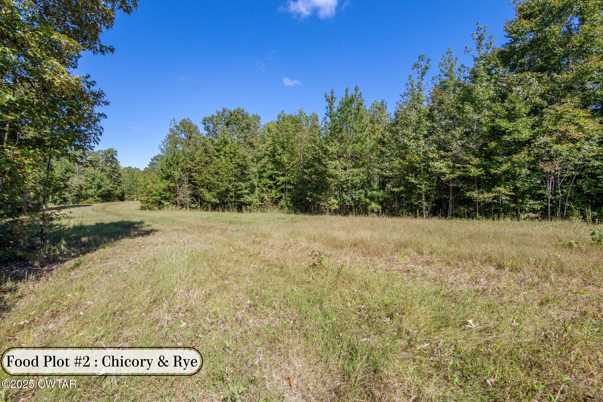 424 Firetower Road Camden, TN 38320 - Photo 10 of 74 Food Plot #1-7