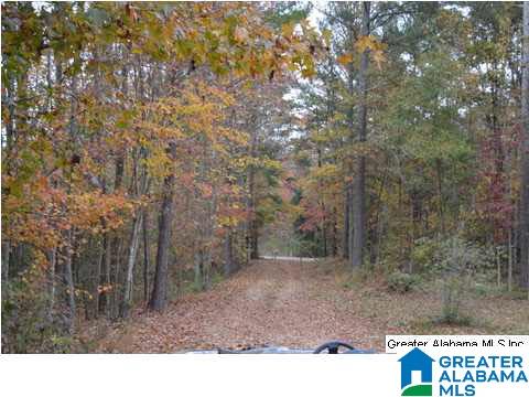 401 Old Settlement Road Oneonta, AL 35121 - Photo 28 of 28