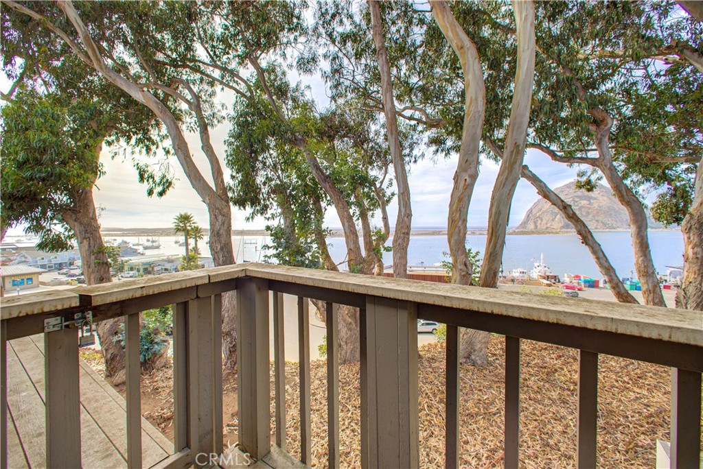 a view of trees and trees from a balcony