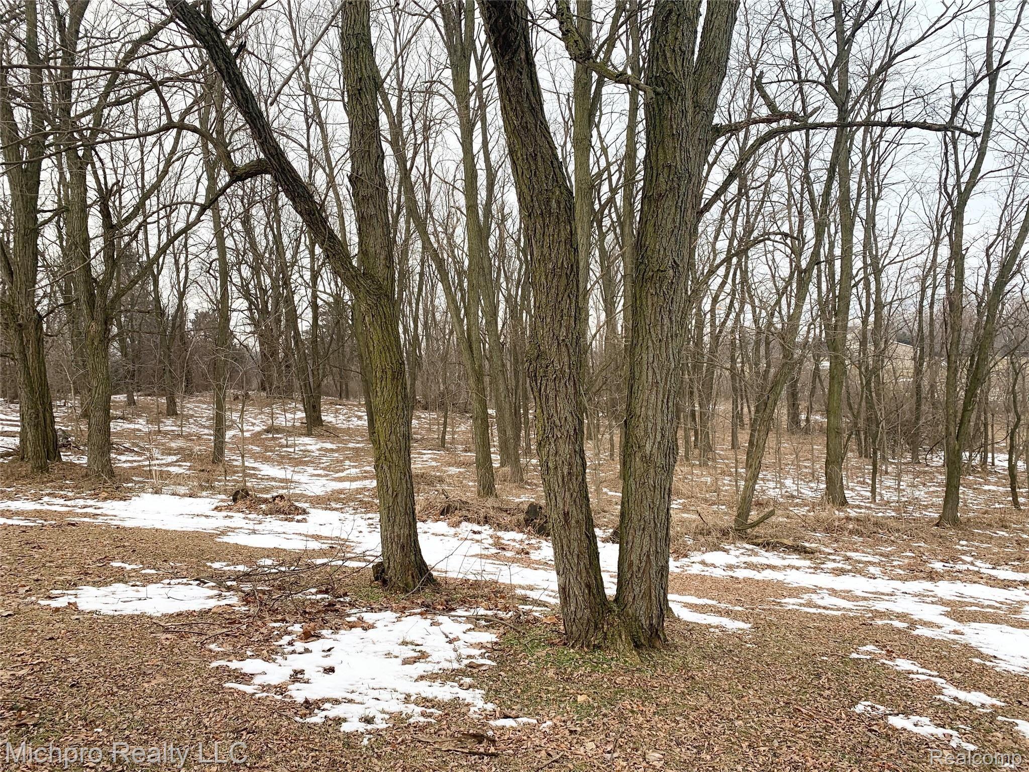 4330 Brooks Road Brown City, MI 48416 - Photo 33 of 34 Brooks 21.jpg