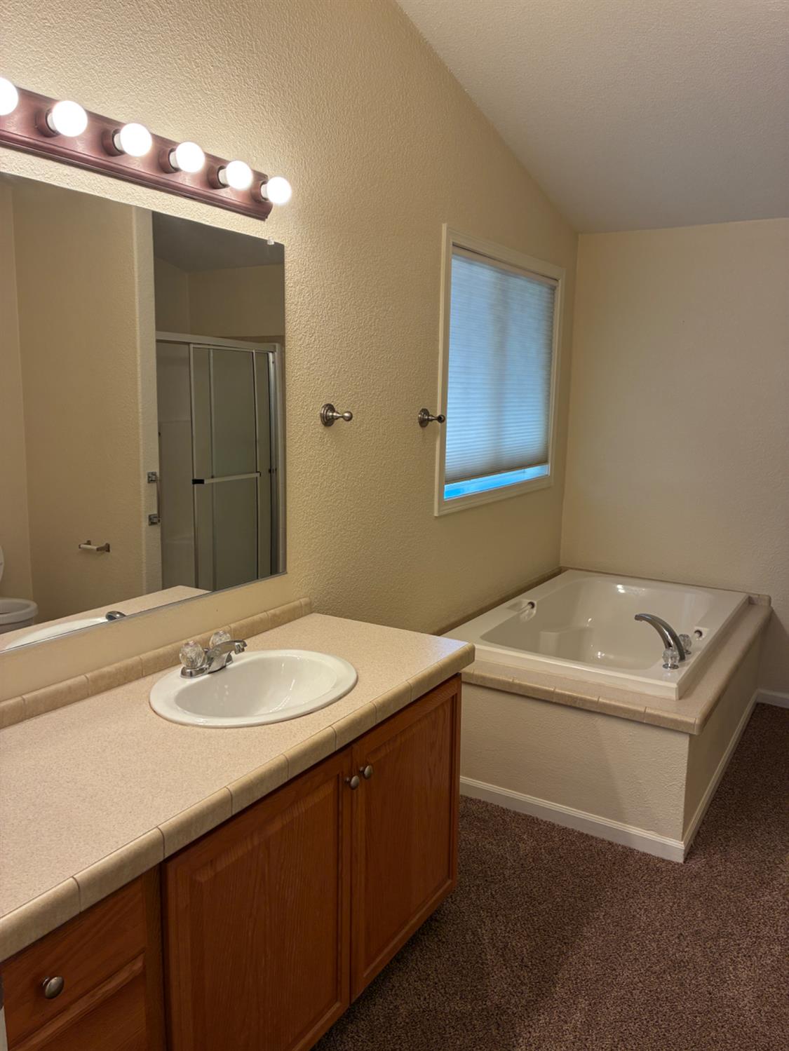 1155 Pease Road, Unit 408 Yuba City, CA 95991 - Photo 31 of 45 a bathroom with a sink double vanity and a mirror