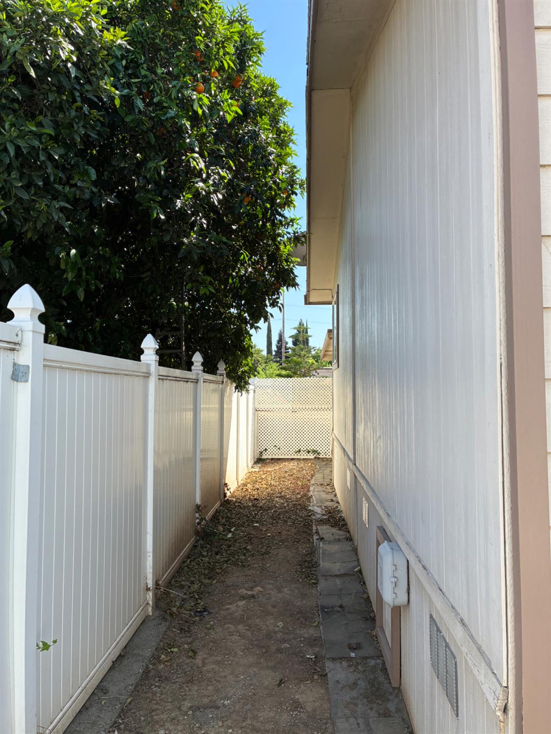 1155 Pease Road, Unit 408 Yuba City, CA 95991 - Photo 44 of 45 a view of a house with a backyard