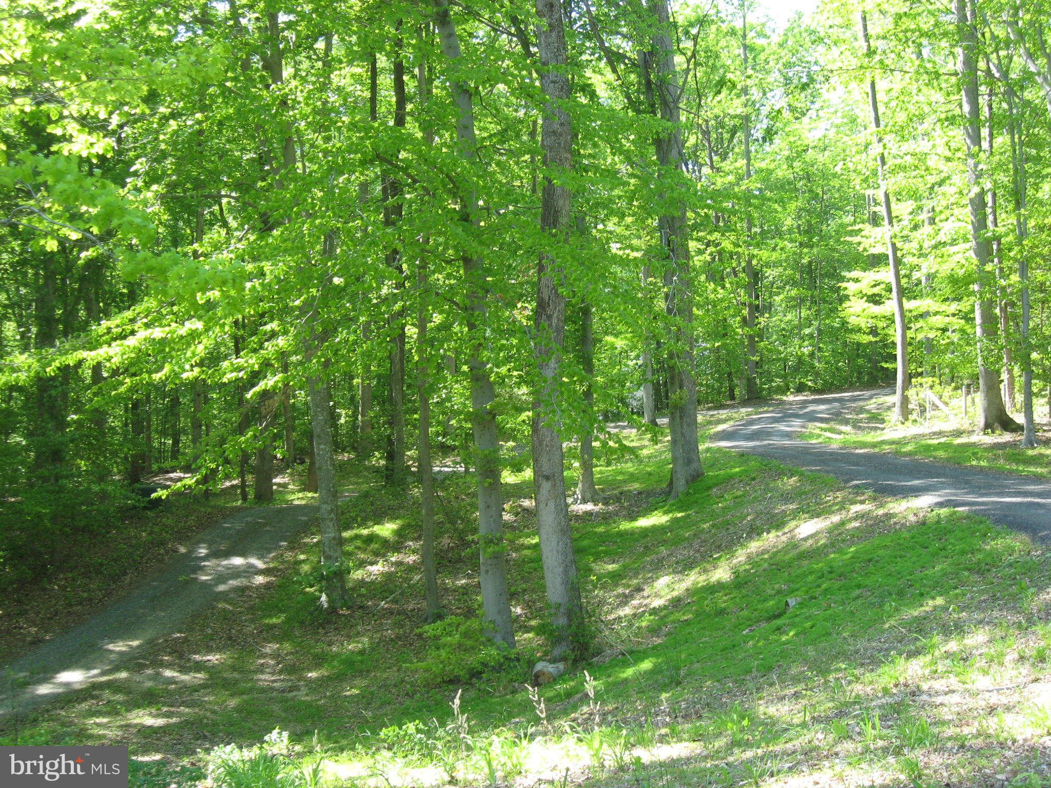 1590 Lottie Fowler Road Prince Frederick, MD 20678 - Photo 2 of 30 Acreage, Dirveway