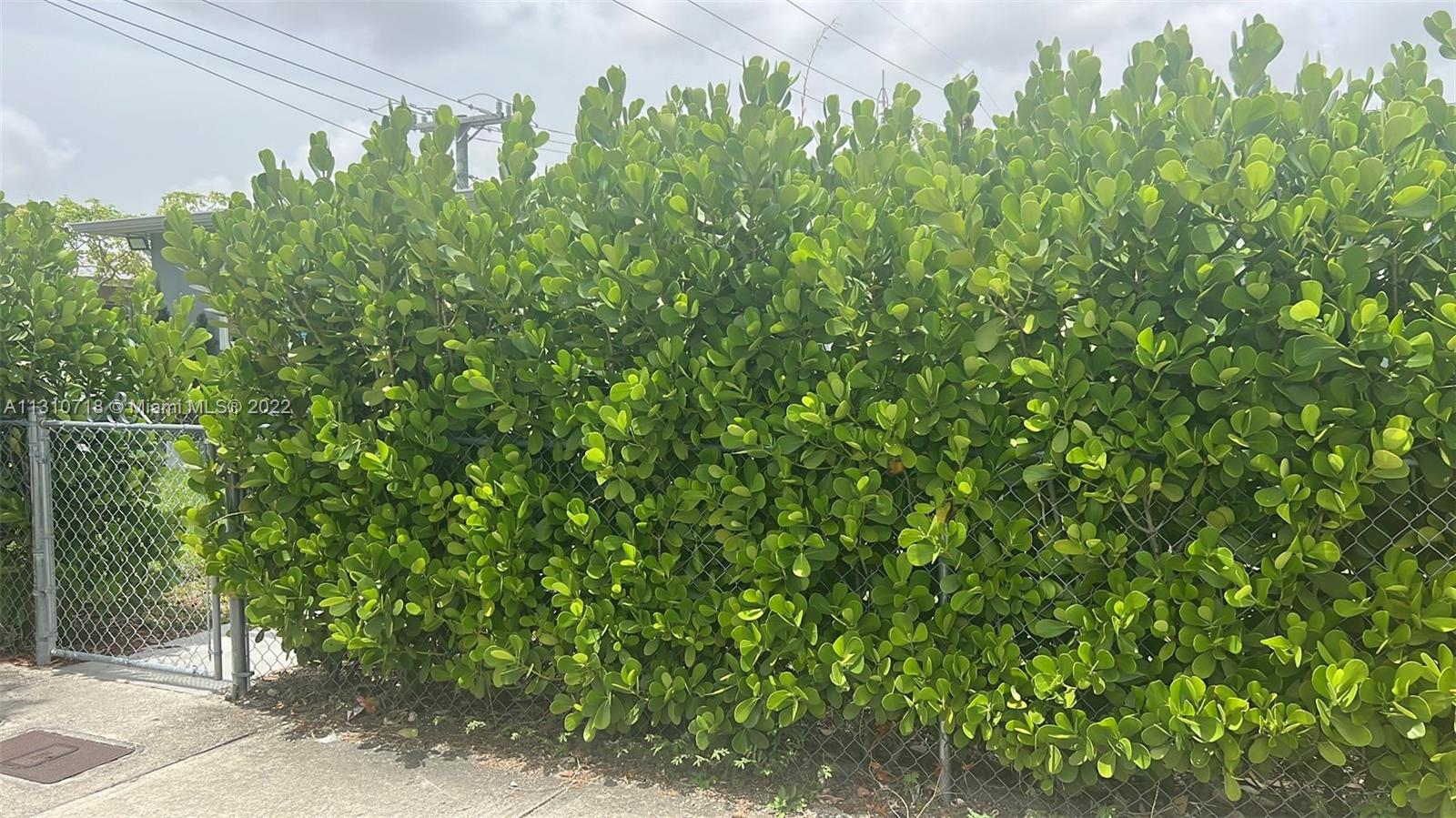 Flagami Miami, FL 33126 - Photo 21 of 21 a view of a garden