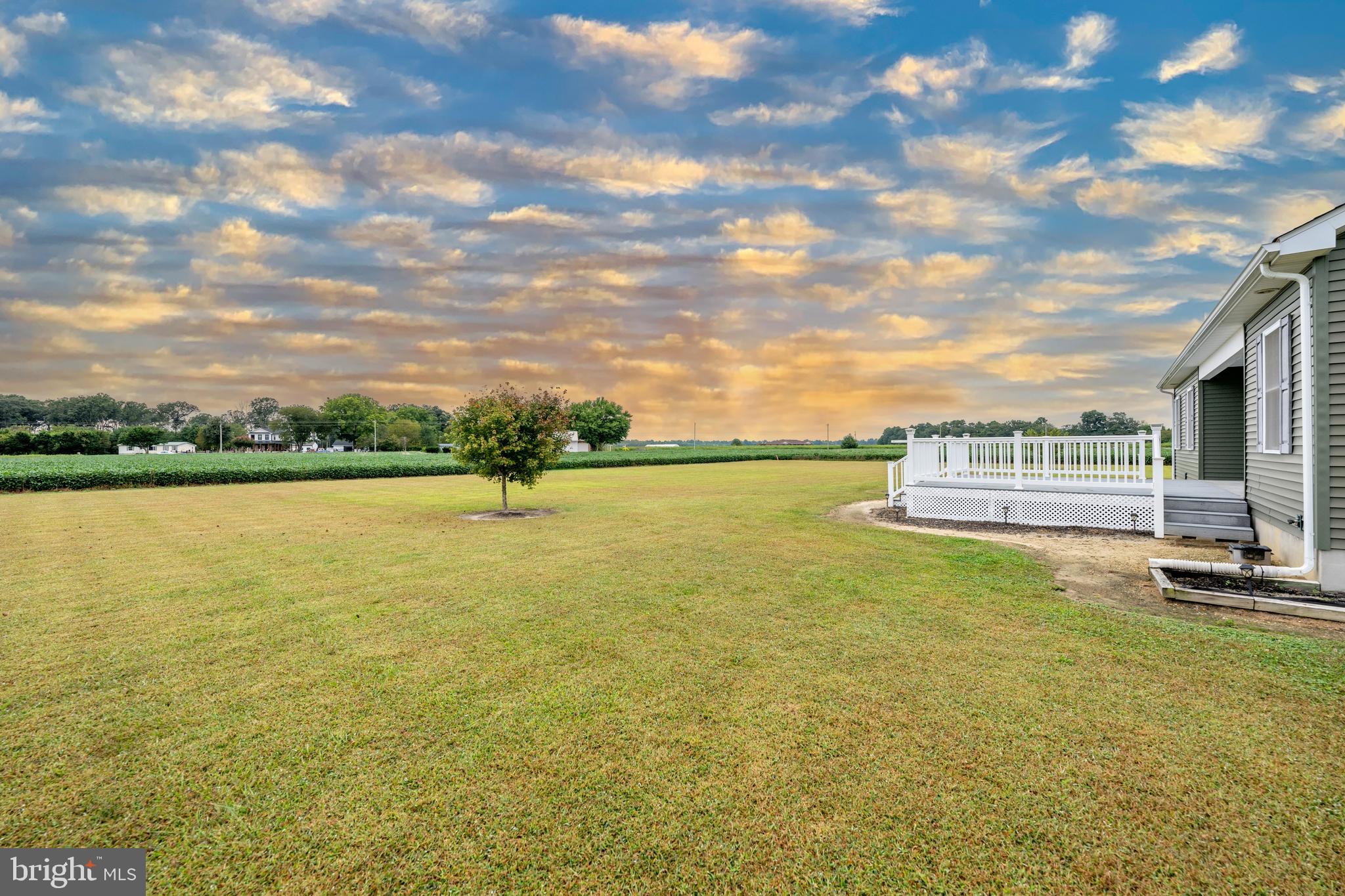 17002 Oak Road Bridgeville, DE 19933 - Photo 29 of 33 a view of a lake with houses in the back