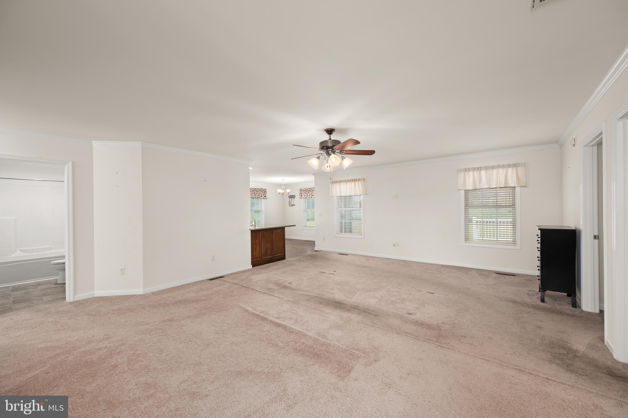 17002 Oak Road Bridgeville, DE 19933 - Photo 3 of 33 an empty room with windows and fireplace