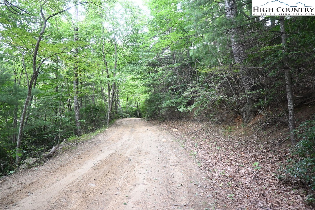 Endless View West Jefferson, NC 28694 - Photo 16 of 20 a view of a forest with trees in front of it