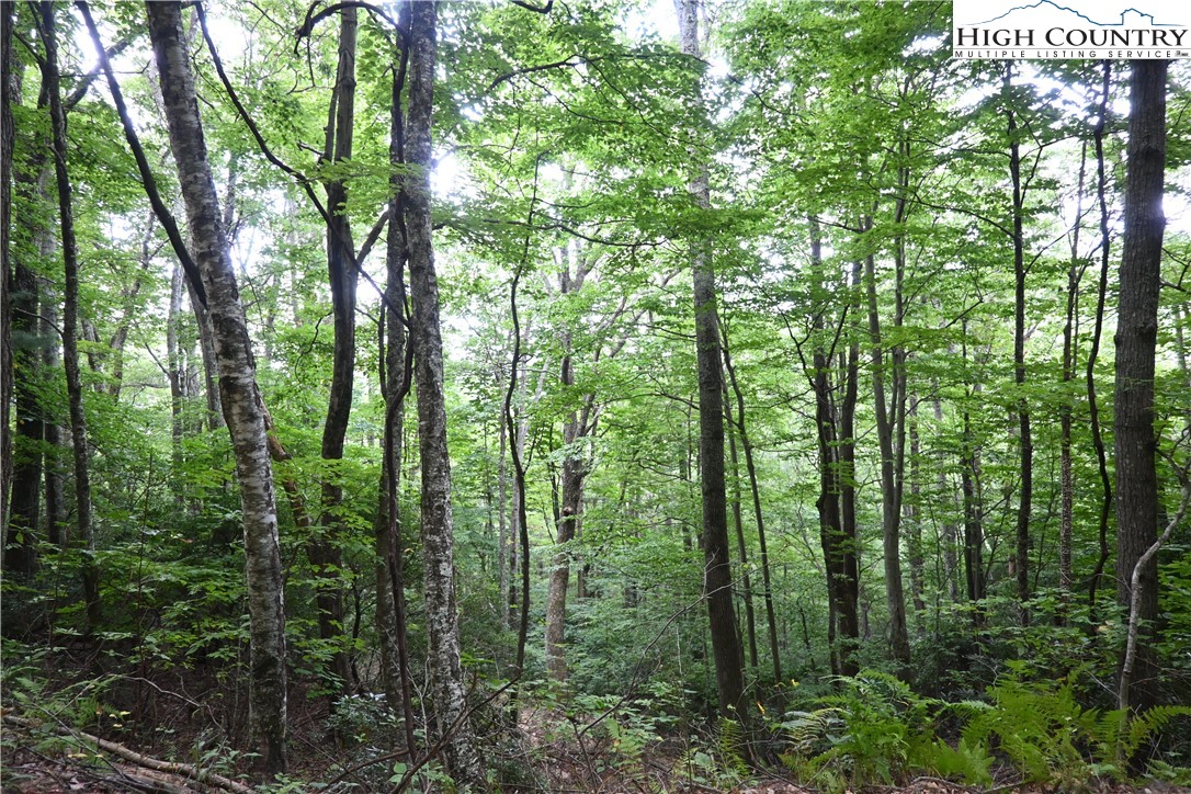 Endless View West Jefferson, NC 28694 - Photo 17 of 20 a view of outdoor space and green space