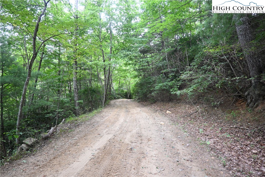 Endless View West Jefferson, NC 28694 - Photo 18 of 20 a view of a forest with trees in the background
