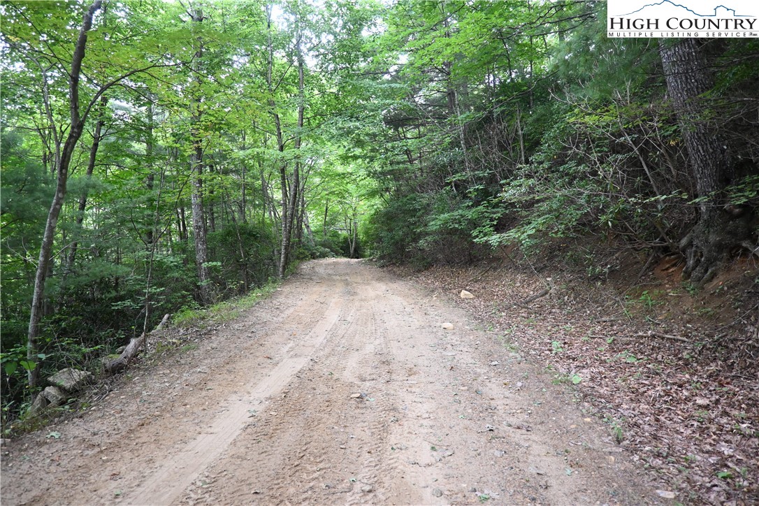 Endless View West Jefferson, NC 28694 - Photo 19 of 20 a view of a forest with trees in the background