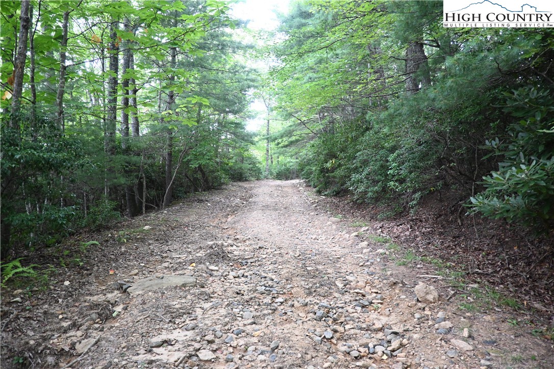 Endless View West Jefferson, NC 28694 - Photo 4 of 20 a view of a forest with trees in the background