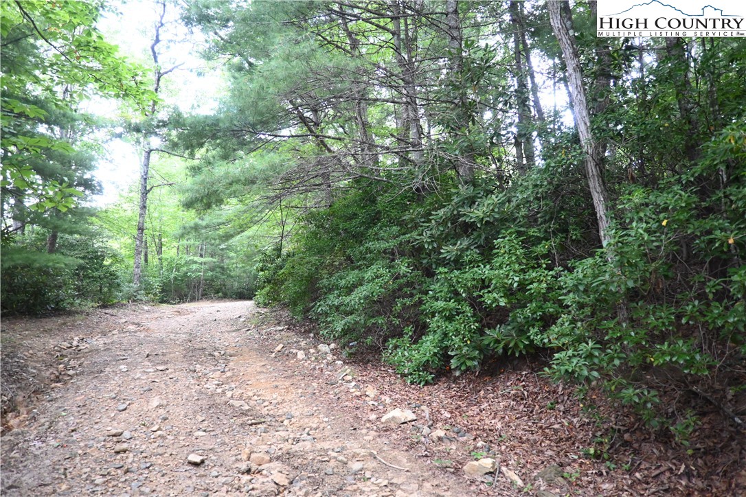 Endless View West Jefferson, NC 28694 - Photo 8 of 20 a view of a dirt road with trees in the background