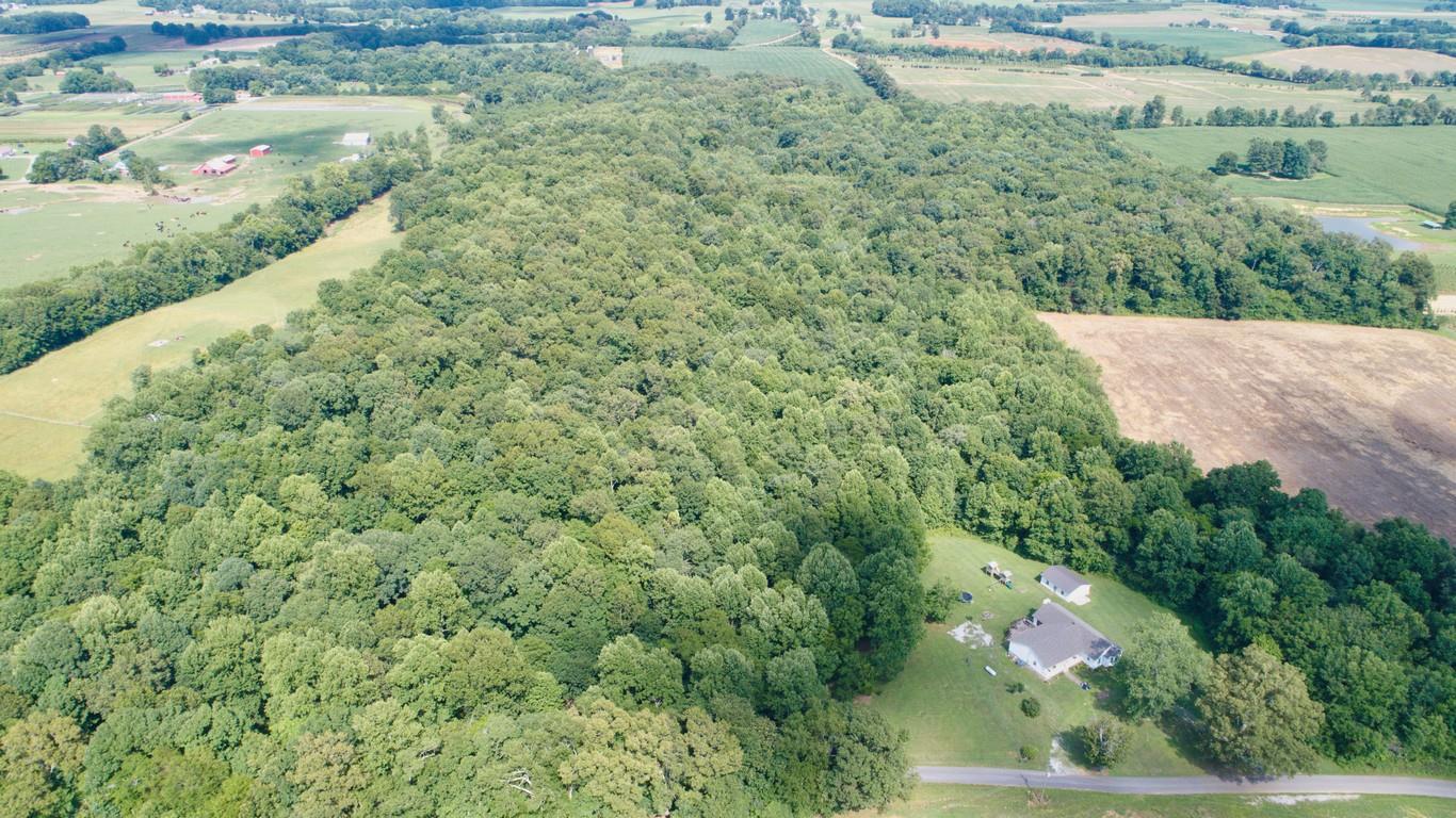 986 McClain Road Morrison, TN 37357 - Photo 7 of 19