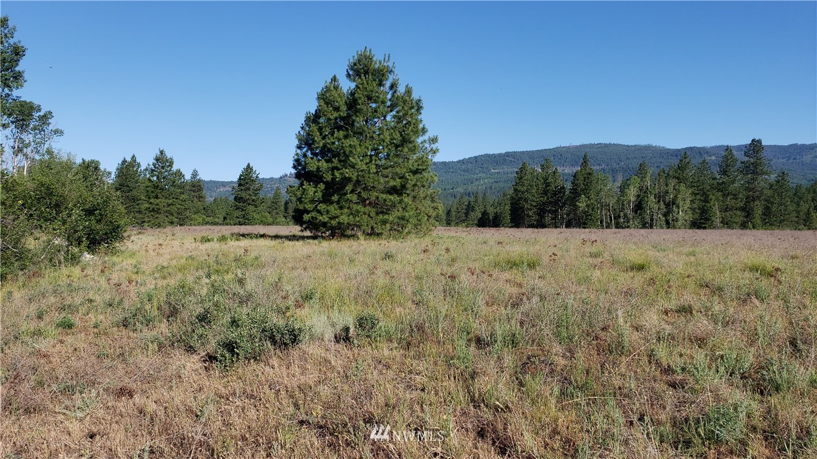 4682 Mitchell Road Northport, WA 99157 - Photo 1 of 9