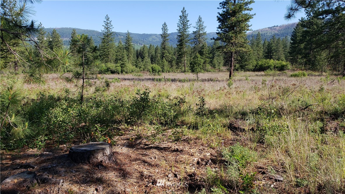 4682 Mitchell Road Northport, WA 99157 - Photo 6 of 9