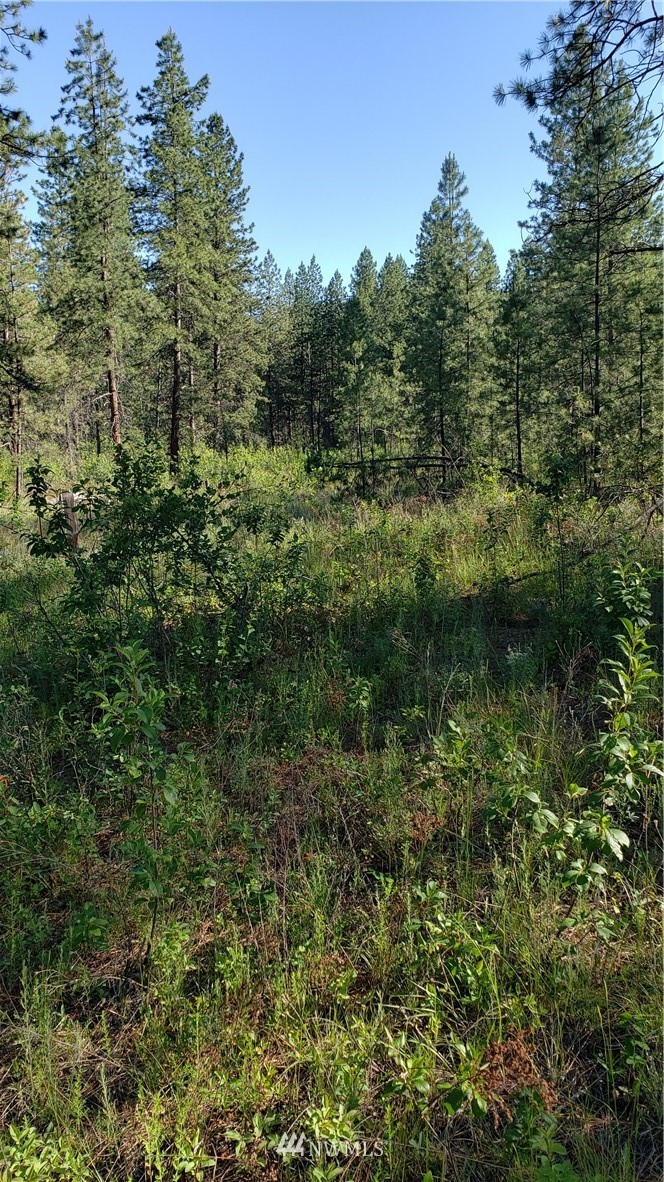 4682 Mitchell Road Northport, WA 99157 - Photo 7 of 9