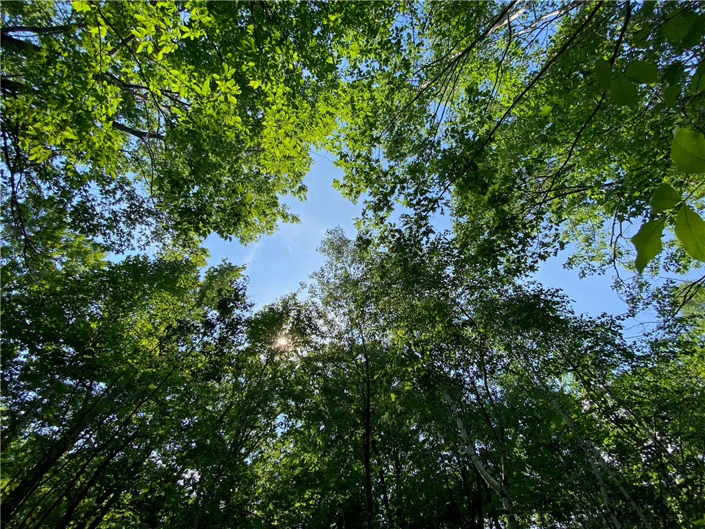 Lot 7 Secluded Trail Hayward, WI 54843 - Photo 40 of 41