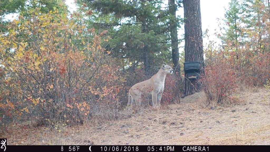 3-xxx Beitey Road Valley, WA 99181 - Photo 27 of 30