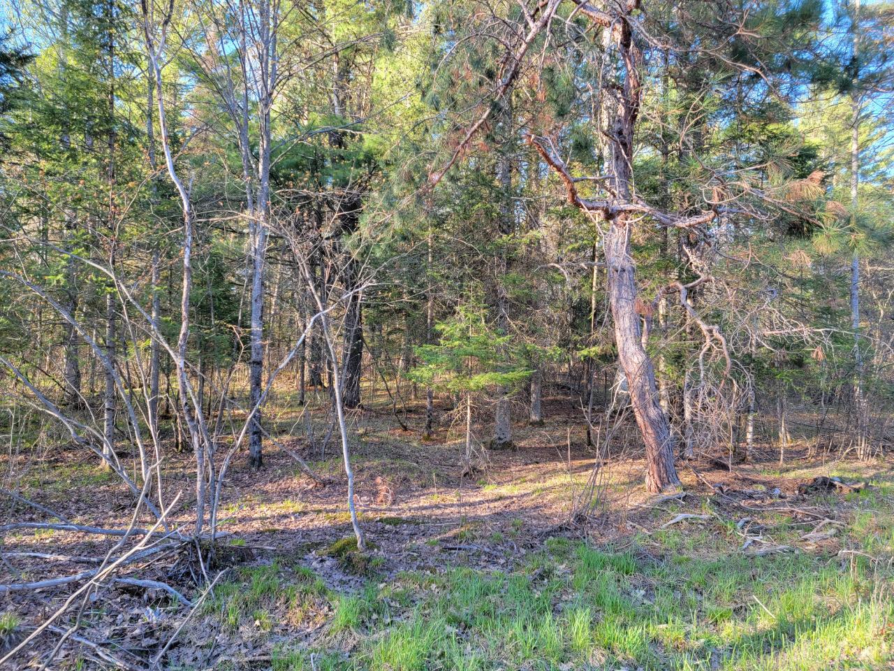On Pioneer Road Conover, WI 54519 - Photo 10 of 31 Gallery Image 10