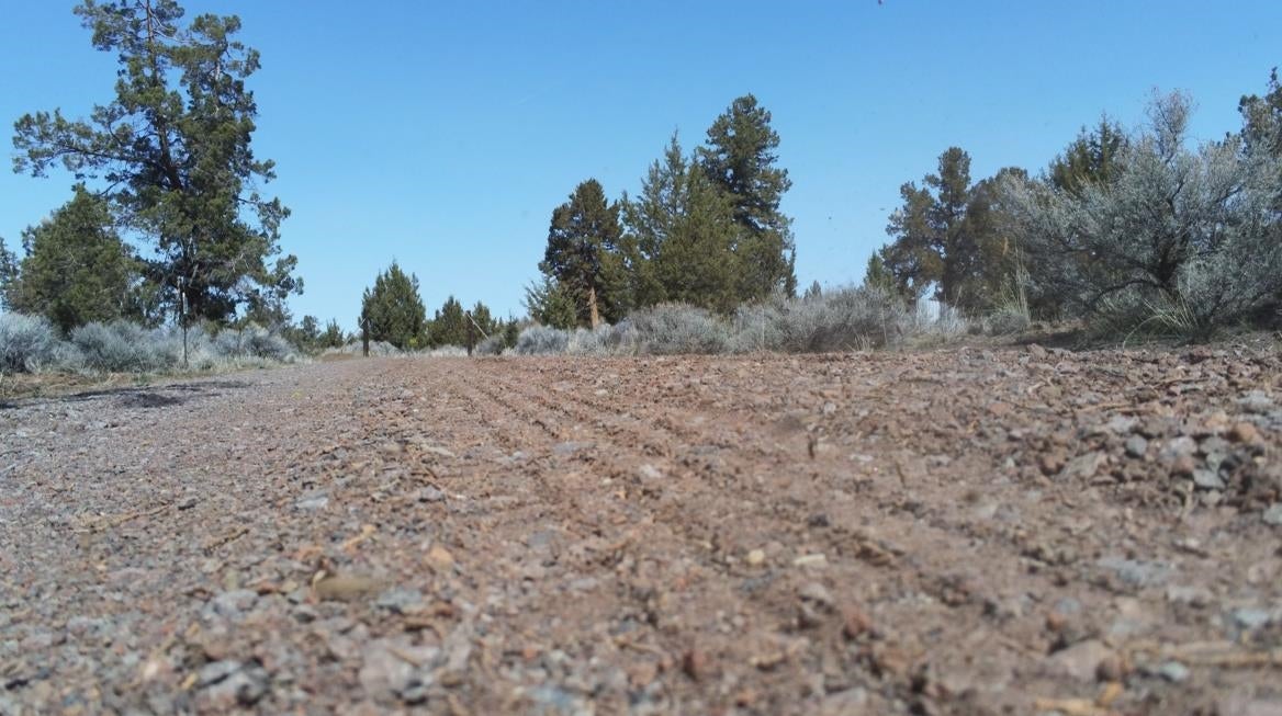 10-acres Homeland Road Macdoel, CA 96058 - Photo 11 of 12 Gallery Image 11