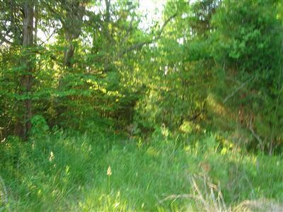 0 Myers Station Road Lexington, KY 40516 - Photo 2 of 3 Photo 2