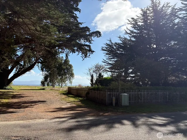 a view of backyard with green space
