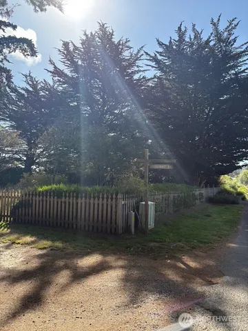 a view of a yard with a tree