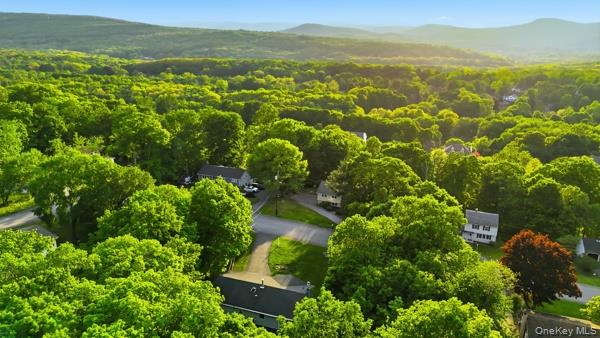 31 Laura Road Monroe, NY 10950 - Photo 6 of 39 an aerial view of residential houses with outdoor space and trees
