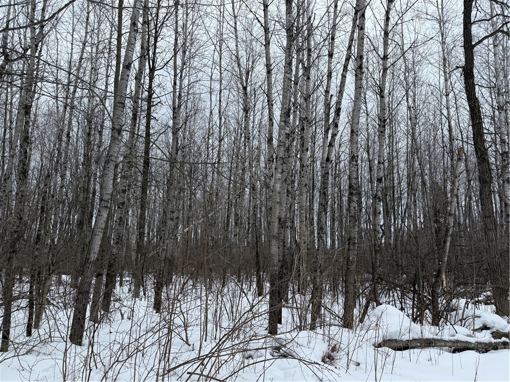 N8280 Winter Road Ladysmith, WI 54848 - Photo 29 of 33