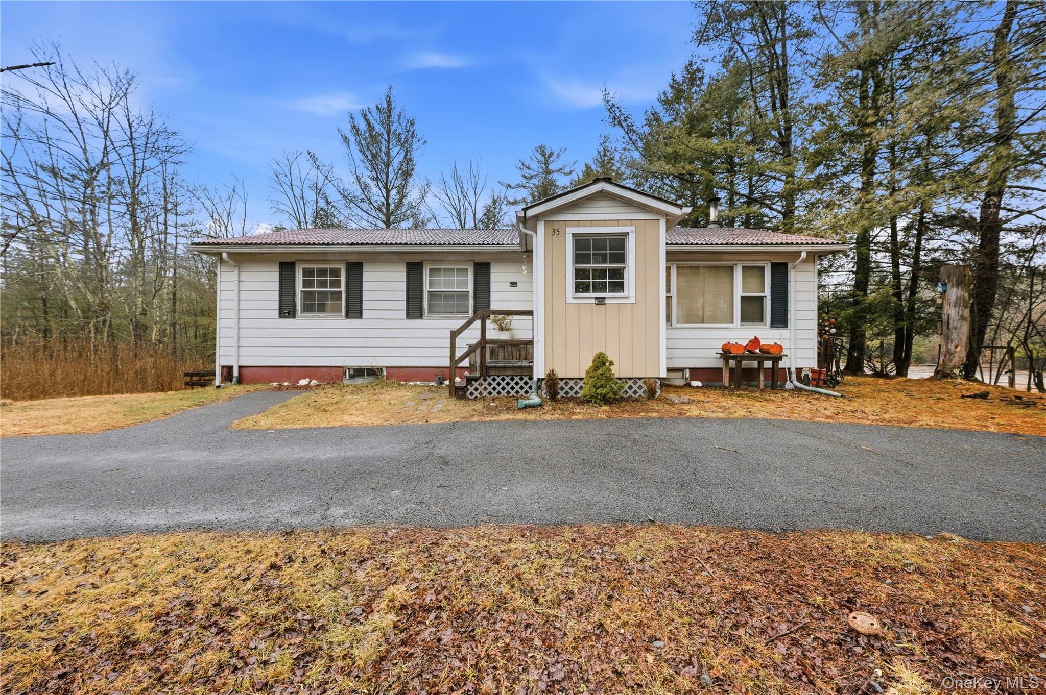 35 Quiat Road Mountain Dale, NY 12763 - Photo 1 of 27 View of single story home