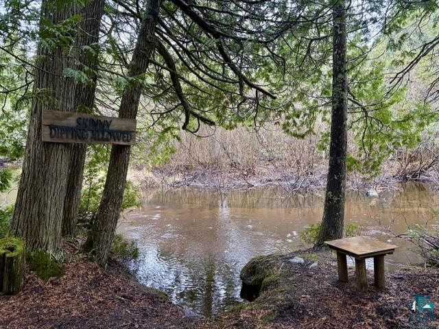 991 Ward Lake Road Lutsen, MN 55612 - Photo 2 of 34