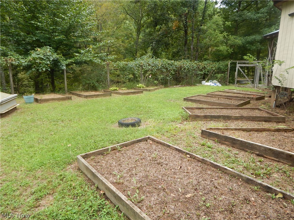 556 Goose Run Road Pullman, WV 26421 - Photo 27 of 35