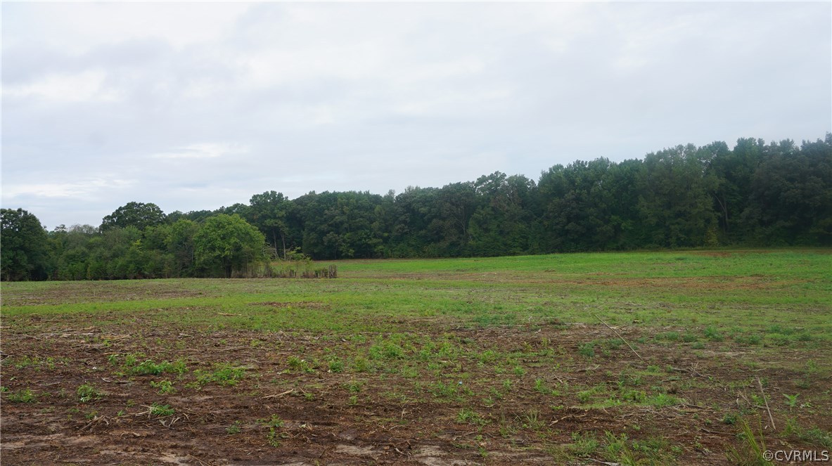 Lot 2 Old Buckingham Road Powhatan, VA 23139 - Photo 2 of 7 Gallery Image 2