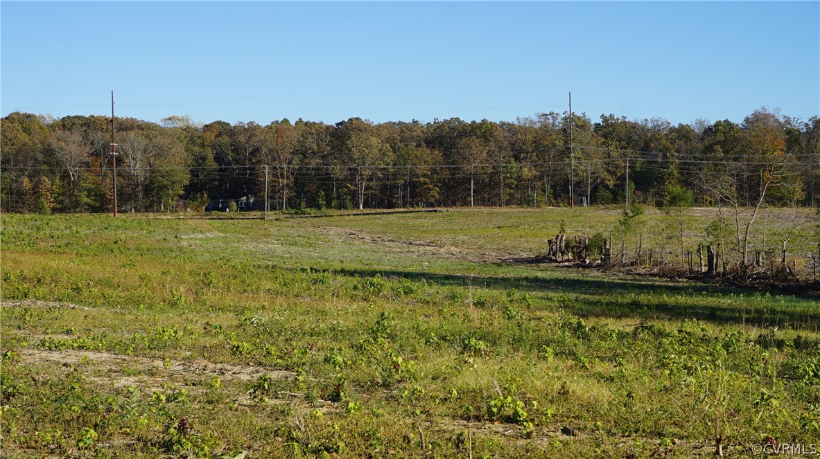 Lot 2 Old Buckingham Road Powhatan, VA 23139 - Photo 3 of 7 Gallery Image 3