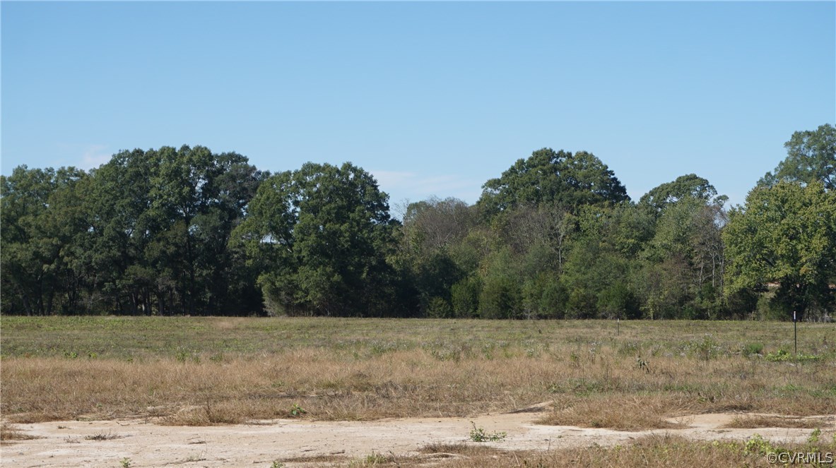 Lot 2 Old Buckingham Road Powhatan, VA 23139 - Photo 4 of 7 Gallery Image 4