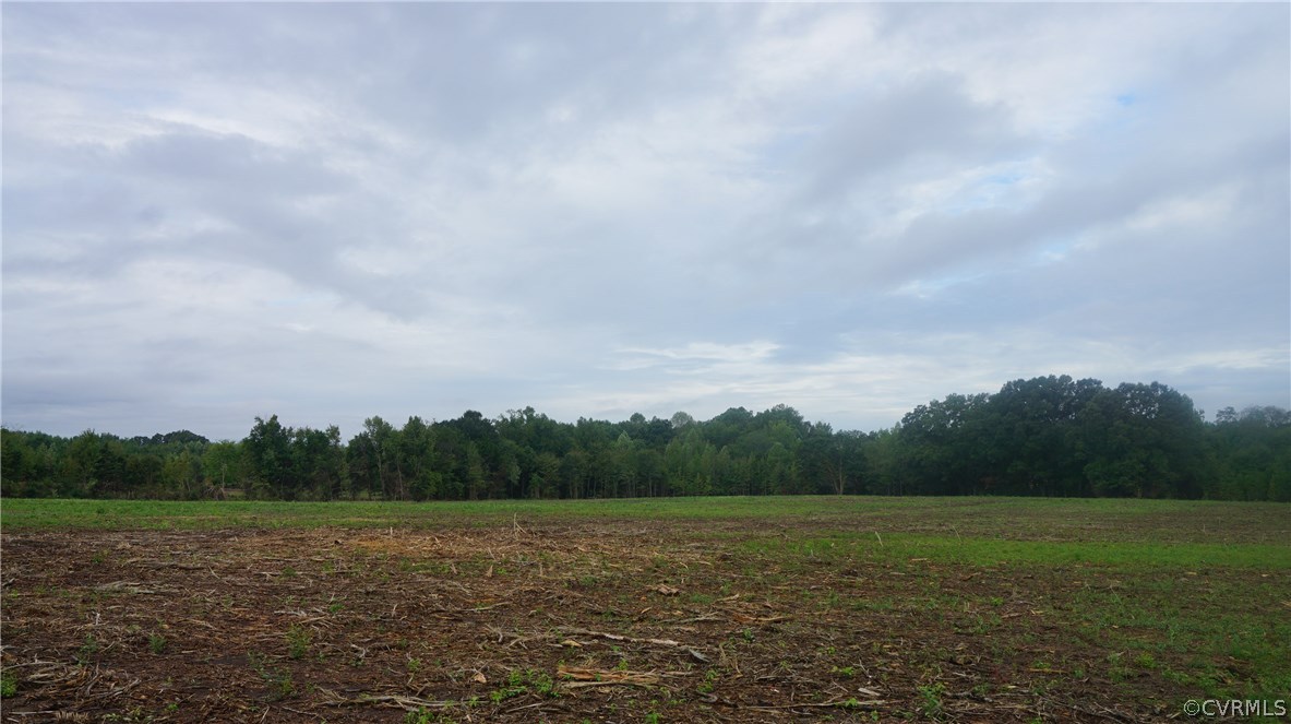 Lot 2 Old Buckingham Road Powhatan, VA 23139 - Photo 5 of 7 Gallery Image 5