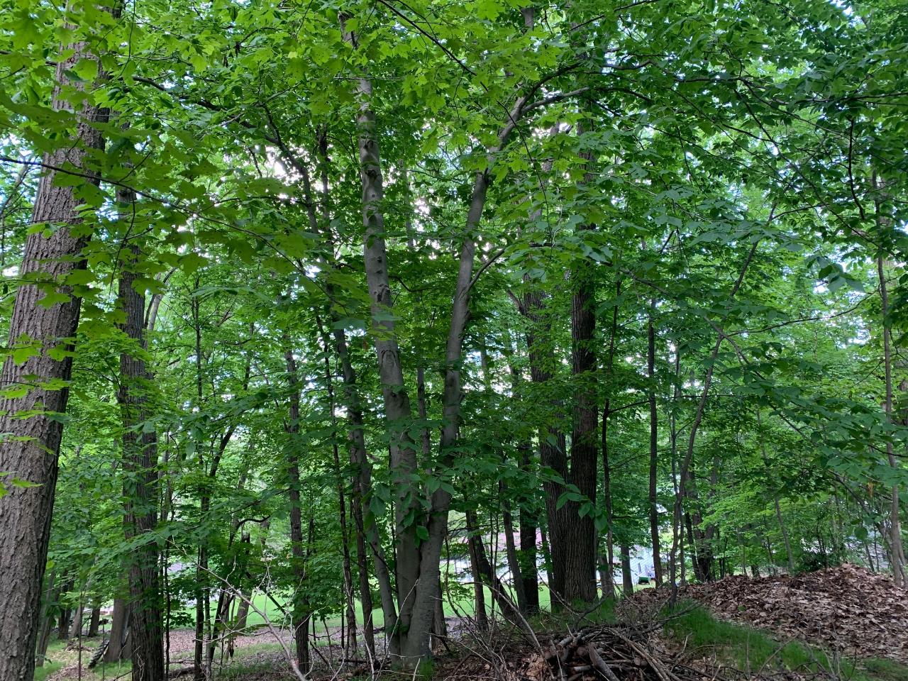 10619 West Rost Lake Road Coleman, WI 54112 - Photo 31 of 35 Gallery Image 31