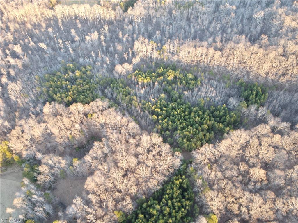 1500 Wiley Lewis Road Greensboro, NC 27406 - Photo 11 of 13